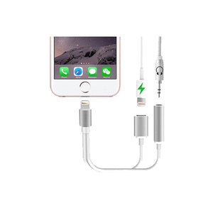 2 in 1 Earphone & Lightning Adapter for iPhone-